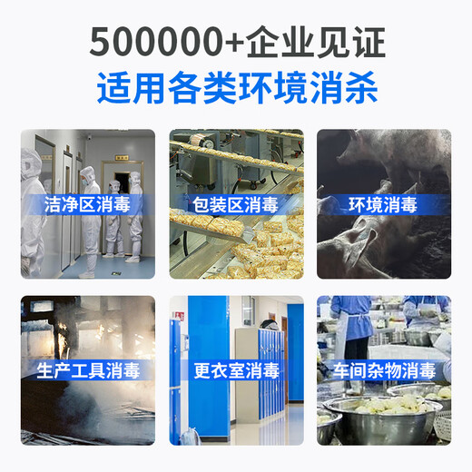 ANLEAVO ozone generator food factory disinfection ozone machine industrial workshop school hospital municipal garbage room cold storage warehouse archives air purifier sterilization, deodorization and odor removal 20g/h (applicable to 200-250 square meters)