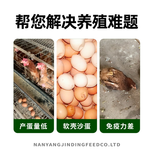 OIMG laying hen premix chicks native chicken free-range chicken breeding period egg production feed hen egg laying special material wholesale Jinding 5Jin Jin equal to 0.5 kg (small bag)