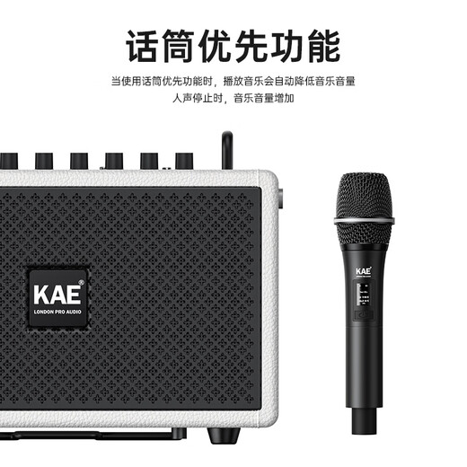 KAEM5 outdoor singing audio guitar electric blowpipe saxophone outdoor karaoke road show live broadcast high-power musical instrument speaker M5 Black Tiger Head (Deluxe Edition)