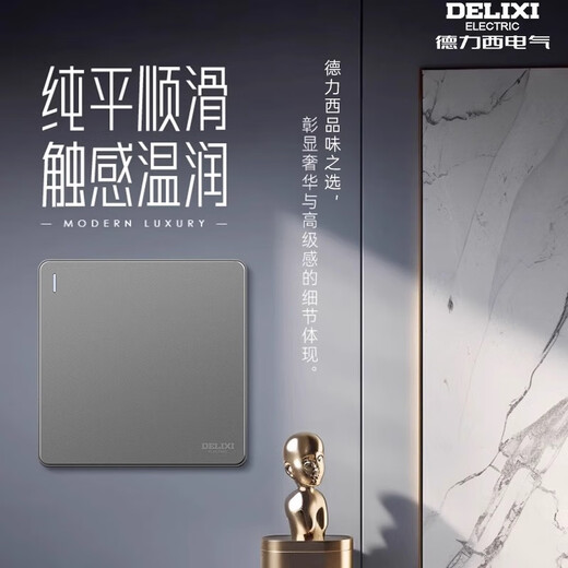 Delixi Electric Delixi switch socket simple panel one open double control five holes 10A household concealed installation 86 type 502 starry sky gray one open double control five holes