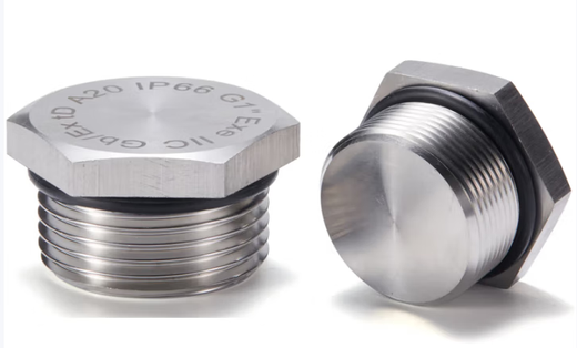 Otto G1 (1 inch DN25) stainless steel explosion-proof plug