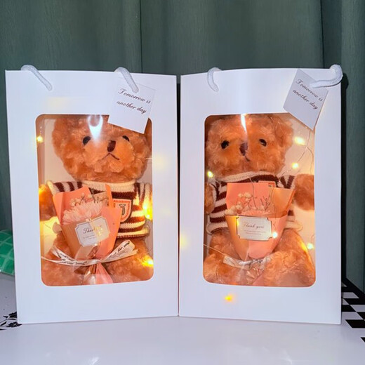 Xubeile Peluche poupée poupée de Chiffon Ours en Peluche poupée Fille Cadeau d'anniversaire Fille Oreiller de Couchage