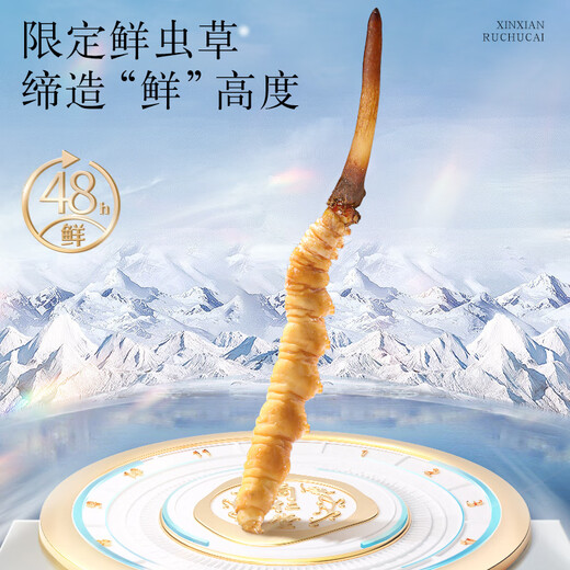 同仁堂品牌 北京同仁堂 鲜虫草冬虫夏草新鲜虫草礼盒无断草送礼送长辈 1盒 30g 2A鲜虫草50根0.6-0.8克/条