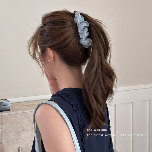 Morning Star Mesh Pleated High Ponytail Banana Clip 2025 New Hairpin Women's Back of Head Clip Plate Hairpin Autumn and Winter Head Accessories Blue Pleated Banana Clip - Small Size