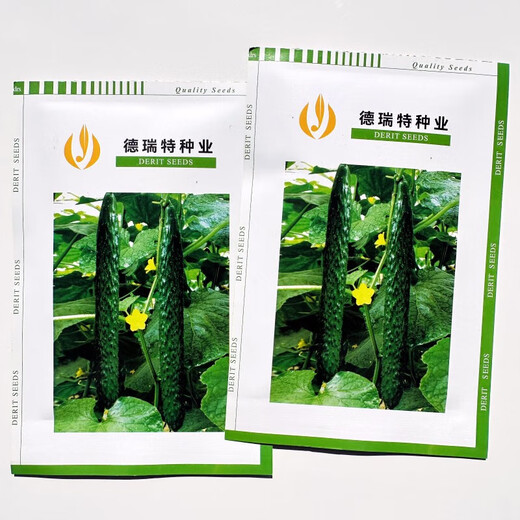 Strong female bright cucumber new variety seeds Tianjin De Ruite Del No. 7 green skin green flesh cucumber 2 bags Del No. 7 500 capsules