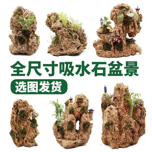 Water-absorbing stone 10-160CM natural water-absorbing stone raw stone water stone stone mountain bonsai rockery fish tank landscaping ornaments micro only stone 40-44 water-absorbing stone package