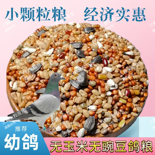 New pigeon food 20 Jin Jin is equal to 0.5 kg. Corn-free pigeon food with corn pigeon feed racing nutrition pigeon food for adult and young pigeons 5 Jin Jin is equal to 0.5 kg. Corn-free pigeon food without peas 5 Jin Jin is equal to 0.5 kg.