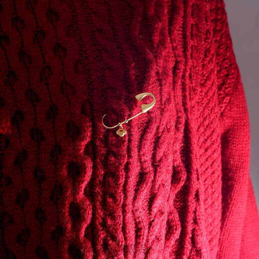 Delaney pregnant woman pin snake baby shock-fixing clothing brooch design high-end simple anti-exposure buckle neck decoration blessing pin