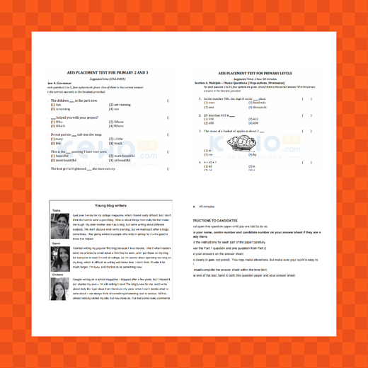 Singapur AEIS-Prüfungs-Mock-Test-Papier, echter Test CEQ KET PET-Informationen, elektronische Version P3 Englisch + Mathematik