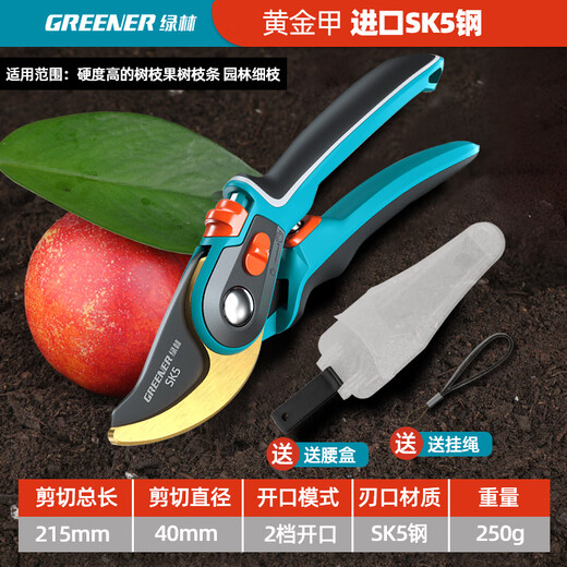 GREENER gardening scissors, special scissors for cutting branches, floral scissors, household garden fruit tree pruning scissors, two-color handle