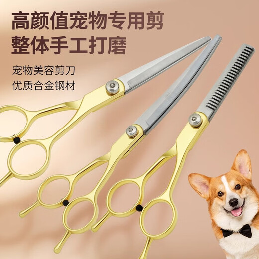 Tanizaki pet grooming scissors, dog hair tool set, 7-inch trimming scissors, curved scissors, Teddy cat and dog pet scissors, gold-plated straight scissors + curling scissors + dental scissors + steel comb + bag