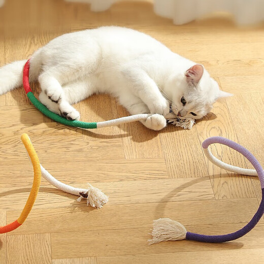 Jingxi self-operated - special brand cat chewing rope cat toy self-stimulating and boredom relief tool molar stick toy bite-resistant kitten kitten cat teasing stick supplies Wanshi Orange one piece