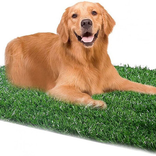 Pet Lawn Dog Toilet Lawn Urgent Mat Courtyard Artificial Lawn Pet Supplies Balcony Decoration Cutting Medium (58*46cm)