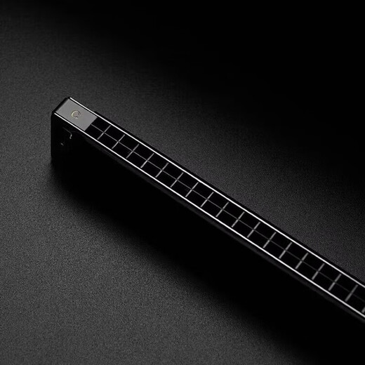 Swan German imported gongs 24-hole polyphonic harmonica advanced adult professional performance level beginner entry-level gift boutique 24-hole polyphonic C key (commonly used key) + gifts