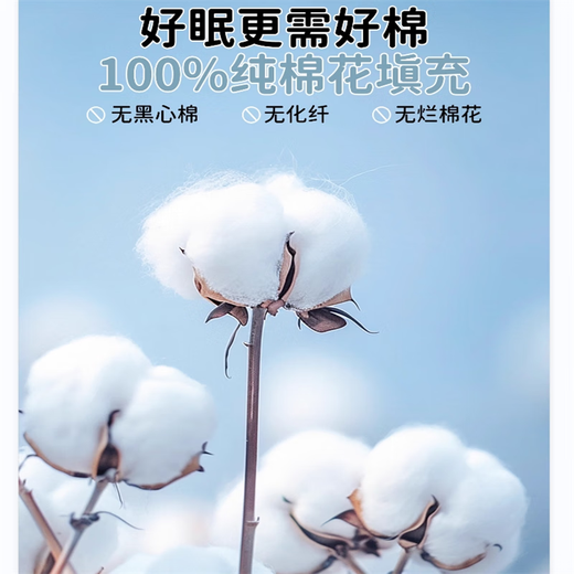 Yalu Class A 100% Cotton Children's Cotton Pillow Pair Pack 3-6-12 Years Old Kindergarten Baby Nap Pillow Core Removable and Washable Rainbow Planet Single Pack Class A 100% Cotton 30*50cm 100% Cotton Inside and Out Removable and Washable