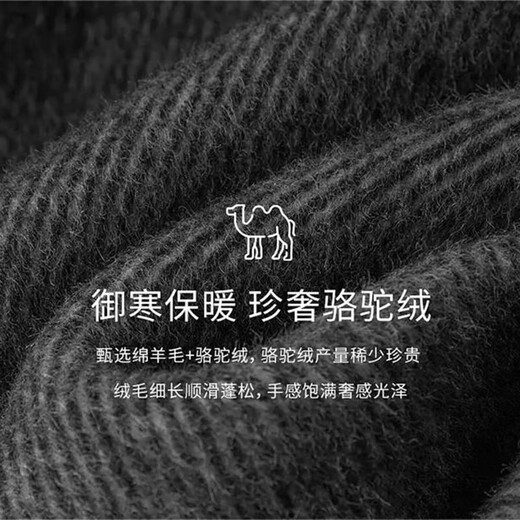 Piaget Zall Camel Wool Blended Double-sided Wool Coat Men's Mid-Length 2025 Autumn and Winter New Commuting Men's Jacket Premium Gray 1st Generation - No Liner L (175)