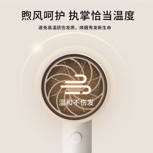 Philips hair dryer, household high-power hair dryer, negative ion hair care, fashionable, compact and portable, birthday gift for girlfriend, pink gold tube BHD321/55