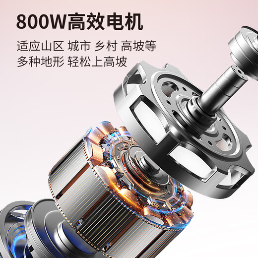 Flying Pigeon Electric Tricycle Electric Vehicle Small Household Pick-up and Drop-off for Children and Elderly Transportation Leisure All-in-One Tricycle with Covered Chaowei/Tianneng 600W Endurance Version + 23AH Long Distance Running King + About 140 Miles