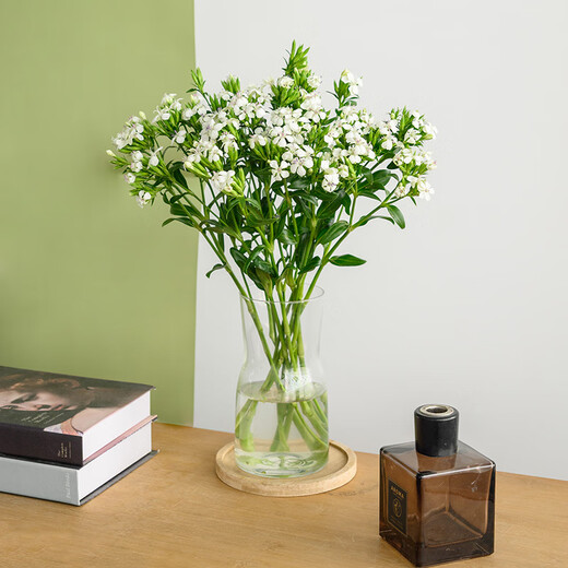 1 bunch of green plums