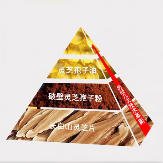 Beijing Tongrentang Blue Hat Ganoderma Spore Oil Soft Capsule High Ganoderma Triterpene Broken Ganoderma Spore Powder 100 capsules Medicine 1 box 100 capsules Blue Hat