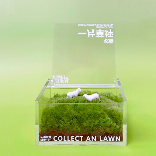 Jingdong green plants, a private lawn, office gift box, moss micro-landscape ornaments, ecological green plants, customized gifts, straight from the source