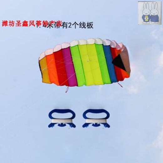 Self-top double line stunt kite new 2023 powered rainbow parachute gliding simple and easy to fly software sports for beginners and adults 2.7m rainbow line board + one wrist strap + line