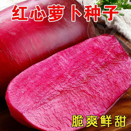 Qili Pineapple Fruit Radish Seeds Purple Beauty Radish Seeds Red Heart Red Skin Farm Fresh Vegetable Seeds in Autumn and Winter Seasons Pineapple Fruit Radish Seeds 300 capsules/1 pack + fertilizer