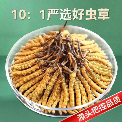 北京同仁堂品质藏区直发曲那冬虫夏草高海拔镎曲虫草干货送礼佳品100g礼盒 2根/克100克礼盒装     拉萨直发