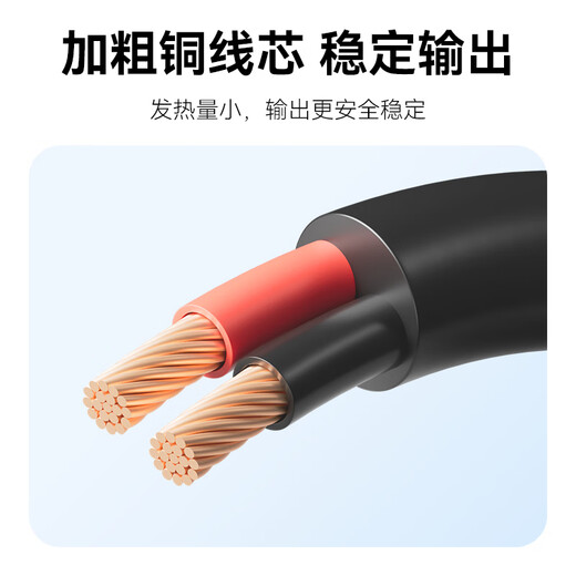 Fengbiao (FB) EN-EL25 Nikon Z50 Z30 Zfc Z50II second generation analog fake battery camera live broadcast external power supply Z502 power supply accessories AC power supply set (direct plug-in 100~240V two-pin socket power supply)