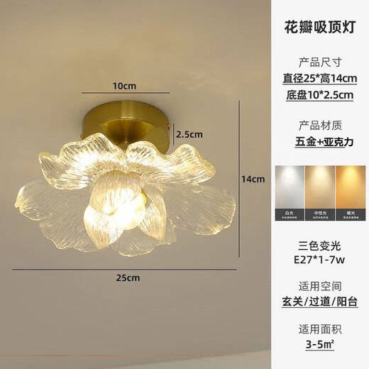 Petal Aisle Light Corridor Modern Simple Internet Celebrity Balcony Light Stair Light Entry Entrance Cloakroom Ceiling Lamp Petal Clear Light Style (Three Color Changing Light)