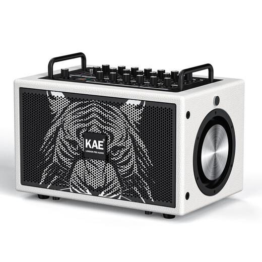 KAEM5 outdoor singing audio guitar electric blowpipe saxophone outdoor karaoke road show live broadcast high-power musical instrument speaker M5 Black Tiger Head (Deluxe Edition)
