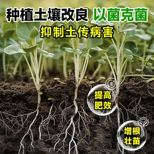 Anxiaoran microbial inoculants and fertilizers promote seedlings, strengthen roots, prevent diseases and increase yields in sugar cane and rice fields. Genuine. 15 bottles*120ml bottles. Very stylish.