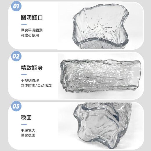 Cuttlefish Glacier Transparent Glass Vase Simple Light Luxury Desktop Ornament Flower Arrangement Birthday Gift New Year's Day Gift