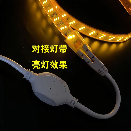 Pinjian LED waterproof light strip 220v high voltage connection plug universal high power outdoor direct plug connector soft light strip accessories safe and durable 5A 1-50 meters available