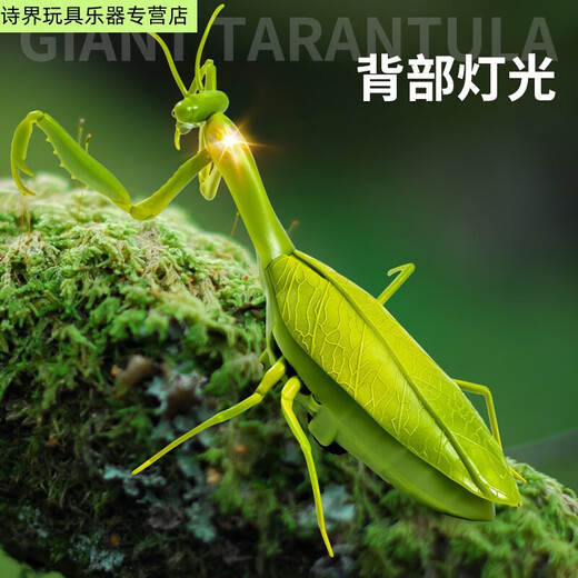 山头林村卡佰索遥控螳螂电动玩具整蛊神器蟑螂男孩会动的蜘蛛爬行小动物 [经典版-遥控瓢虫]红色款9922