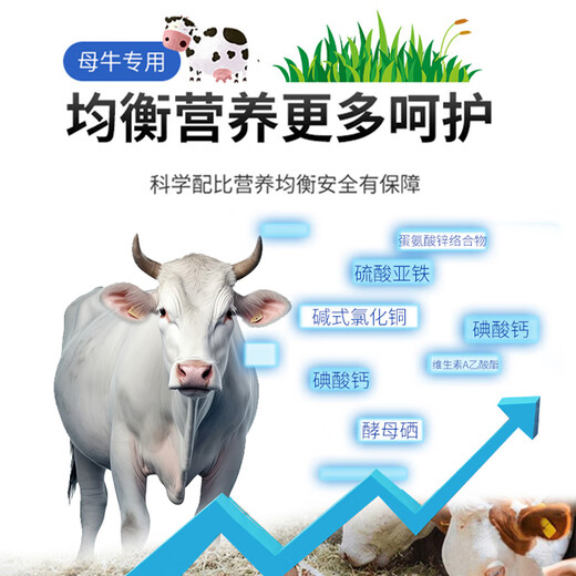 Hefeng Breeding Cow Premix 2.5% Super Mix to Promote Production and Survival Cow Breeding Premix Additive Feed 2 Bags (40Jin Jin is equal to 0.5kg *2) Mixing 3200Jin Jin is equal to 0.5kg Free 3 bags of yeast multi-dimensional