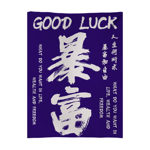 溥畔网红打卡户外露营氛围感装饰布卧室餐厅高级背景布墙布毛笔字挂布 4877-喜乐02 【四角打孔】200高*150宽厘米  +