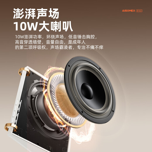 Aishomei B163k song microphone audio all-in-one singing artifact with microphone family ktv home laka ok children's male and female birthday gift lyrics display white double wheat