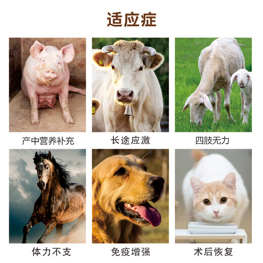 Miningweiyuan strongin for veterinary sows to shorten the labor process, assisted midwifery, weak disease recovery piglets, health care for pigs, cattle and sheep, special use of Miningweiyuan strongin 1 box