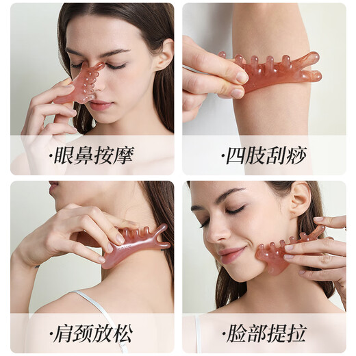 Wanlotu Vier-in-Eins-Multifunktions-Massagekamm, Meridiankamm, Gesichtslifting-Artefakt, Kopftherapie, Baggermeridiane und Schabebrett