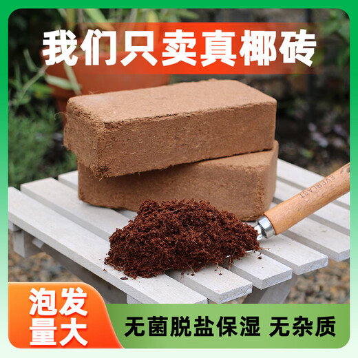 Питательная почва из кокосового кирпича для выращивания цветов, универсальная цветочная почва для растений из кокосовых отрубей, растительная почва, опресняющее удобрение, сочная почва, посадочная почва, 650 г маленьких кокосовых кирпичей * 2 шт.