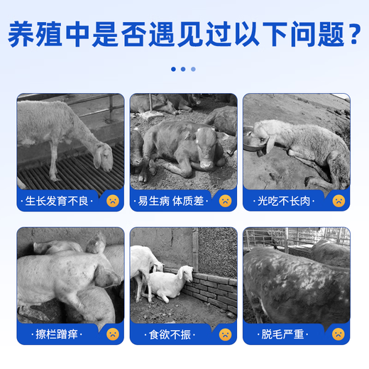 Xiongmu internal and external insecticide can be used to deworm pigs, cattle and sheep and pregnant animals can be used to exterminate internal parasites with chickens, ducks and geese. Xiongmu internal and external insecticide*20 (buy 10 and get 10 free)