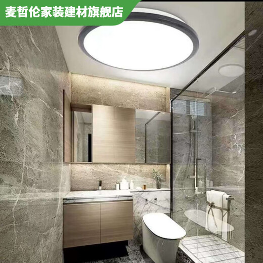 Vinoa LED-Küchenlampe, Badezimmerlampe, wasserdichte Deckenlampe, Badezimmer-WC-Lampe, Anti-Mücken-Balkon, Gang, Flurlampe, Zuhause und weißer Rand, 20 cm, 12 Watt weißes Licht