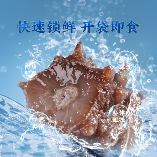 Deep sea zone Dalian origin ready-to-eat sea cucumber 1Jin Jin is equal to 0.5 kg 17-20 Liao ginseng OCC flagship store direct from the source