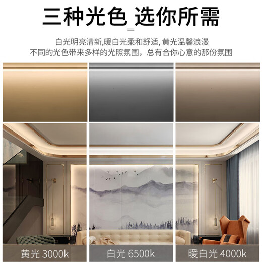 Foshan Lighting (FSL) T8LED lamp double-ended power supply lamp energy-saving fluorescent tube 1.2 meters 30W white light (6500K) 5-pack