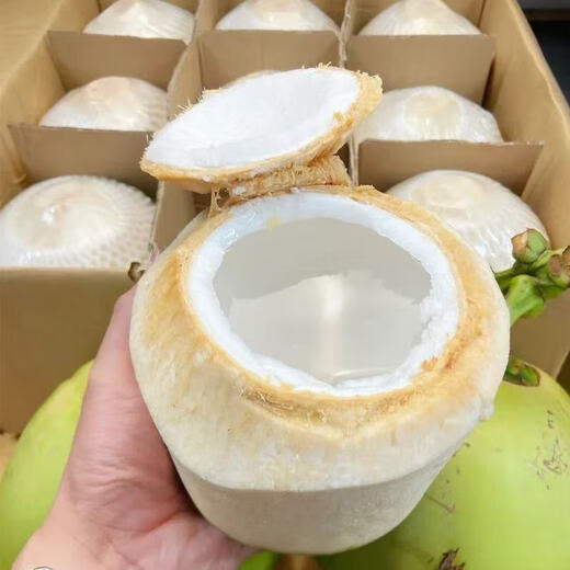 Thai Perfume Green Coconut Fresh Coconut Peeled Milk Fragrant Green Coconut Single Fruit 900g Large Fruit 1 piece (Tryer Pack) Sweet and delicious, full of milky flavor