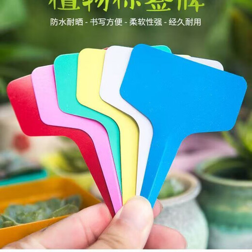 Gardening label succulent label identification vegetable flower label plant name record bonsai plastic ground label green 100 pcs