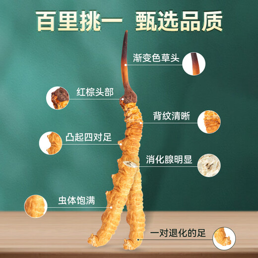 藏幽正宗冬虫夏草礼盒装滋补品头期干虫草送长辈父母领导营养品礼物 【严选品质】3根/克-10克-30根【送礼推荐】