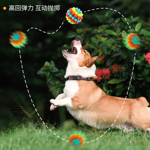 Mikuang German quality dog toy ball pet molar chew toy bite-resistant dog amusement tool to relieve boredom and train dogs color blue