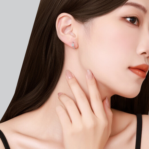 Chao Acer PT950 Platinum Diamond Earrings Girls Birthday Gift Pricing Platinum E6P42200001 One Pair